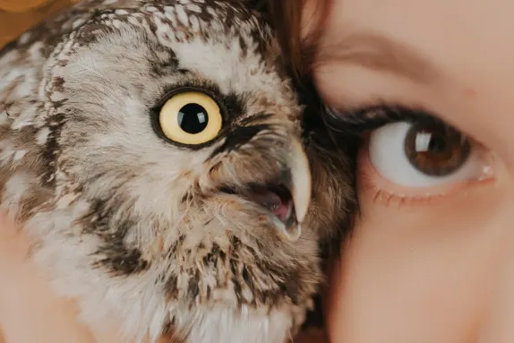 Kasyno Loco Win Wsparcie